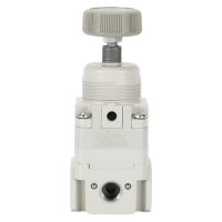 卡西斯顿 精密调压阀 IR1020-01 个
