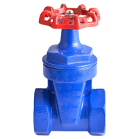 卡西斯顿 铸铁丝扣闸阀 DN20 个