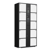 智叶舟智能储物柜人脸识别10门850*460*1800mm台