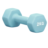 革康 GK-JSQC8084 浸塑哑铃健身锻炼六角哑铃男士运动力量训练2KG*2个彩色小哑铃 浅蓝色