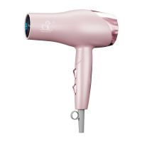 XIAOYA可折叠大功率吹风机发廊离子冷热护发冬季酒店电吹风理发店