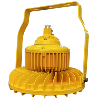 旭升CXS CGBF0101L IP66 AC220V 5000K LED防爆泛光灯 黄色120W