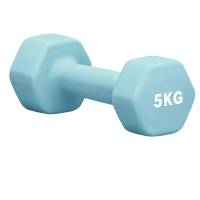 革康 GK-JSQC8085 浸塑哑铃健身锻炼六角哑铃男士运动力量训练3KG*2彩色小哑铃 蓝色