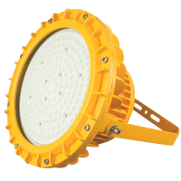 旭升CXS CGBF0101L IP66 AC220V 5000K LED防爆泛光灯 黄色100W