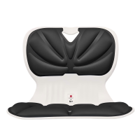 (故宫宫廷文化联名标准版神秘黑)BKT人体工学护腰坐姿椅(适合体重100斤以下人群)