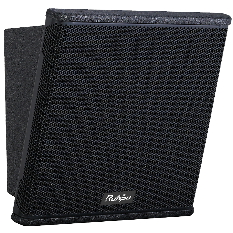 润普Runpu会议音频扩声系统专业双8英寸同轴会议音箱无源音响礼堂会议室扩声音响设备RP-SY-XYT8.0S