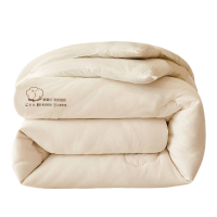 莱依瑾 LYEEGIN 棉被 180*220cm8斤/张