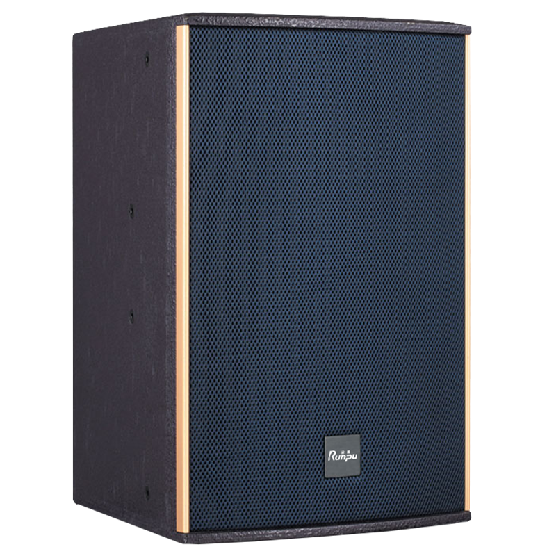 润普Runpu会议音频扩声系统专业双10英寸会议音箱无源音响礼堂会议室扩声音响设备RP-SY-YQP10