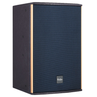 润普Runpu会议音频扩声系统专业双10英寸会议音箱无源音响礼堂会议室扩声音响设备RP-SY-YQP10