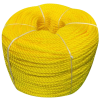 亭松 多功能尼龙绳聚乙烯绳子黄色绳子 直径6mm 单位:米