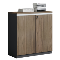 智叶舟矮柜二门800*400*800mm台