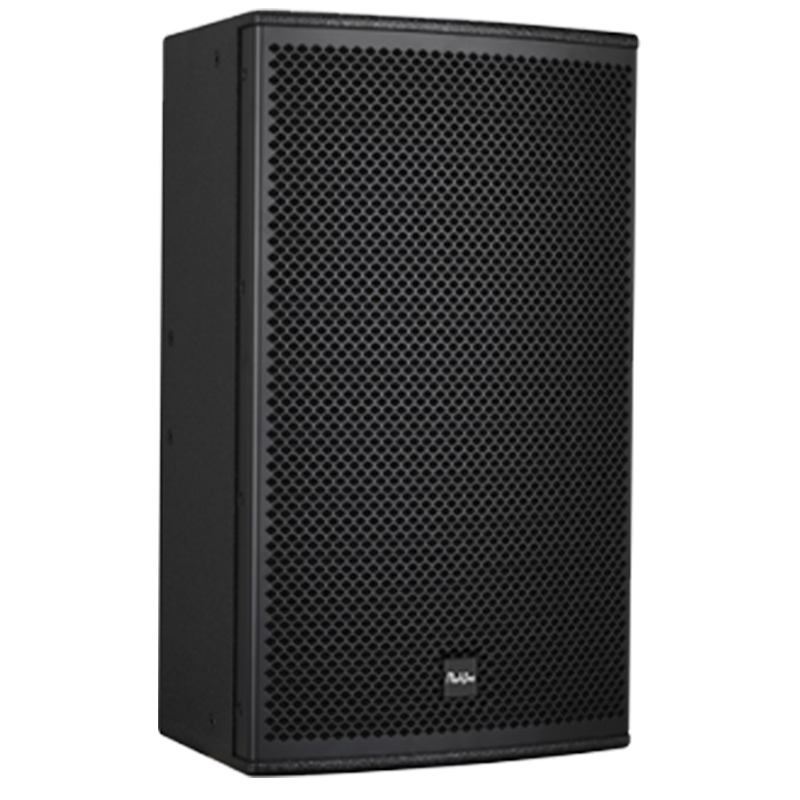 润普Runpu会议音频扩声系统专业双10英寸会议音箱无源音响礼堂会议室扩声音响设备RP-SY-LF1025