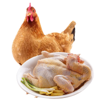 [苏鲜生推荐]三物纪 正宗皖南黄油老母鸡2-2.3斤/只 2只装 新鲜现杀 整鸡净膛冷冻竹林慢养鸡走地鸡