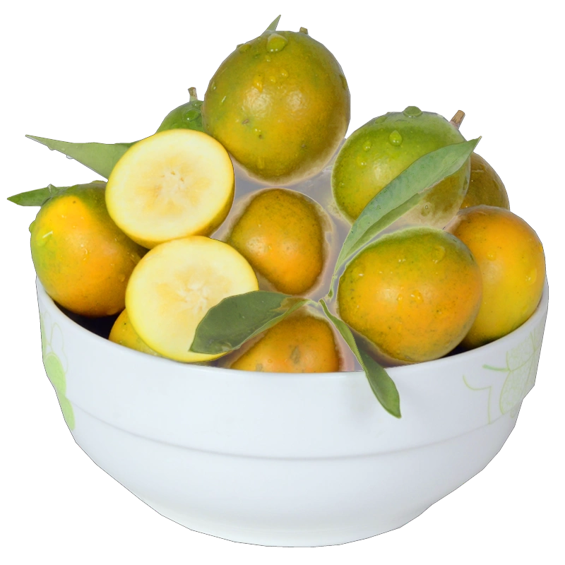 [苏鲜生]广西小金桔 5斤 特大果 约28个/斤 新鲜水果脆甜滑皮冰糖金桔应当季水果