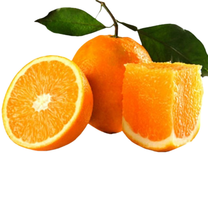 三峡中国脐橙之乡应季新鲜水果九月红爆汁橙5斤大果70-75MM/箱