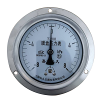 嘉禾长久 膜盒压力表轴向带边检测型 YE100ZT 正负8Kpa 块