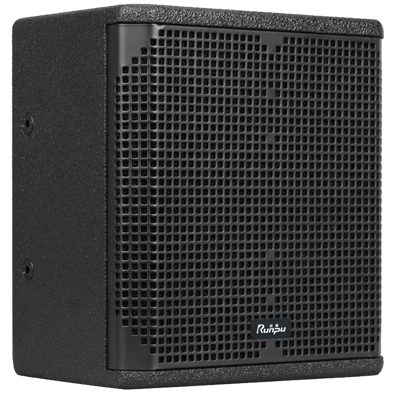 润普Runpu会议音频扩声系统专业双8英寸同轴会议音箱无源音响礼堂会议室扩声音响设备RP-SY-XYT8.0