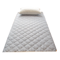 莱依瑾 LYEEGIN 床垫 90*200cm/张