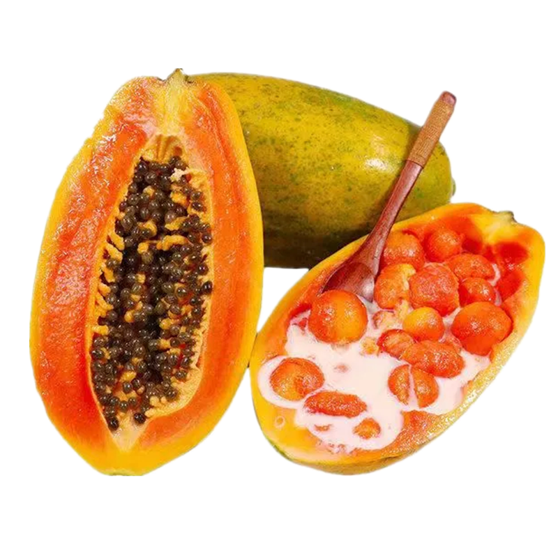 鲜贝达 广西红心木瓜 5斤装2-6个木瓜 新鲜水果 生鲜鲜甜多汁