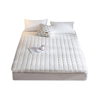 伊伊爱 防螨莱赛尔大豆褥子