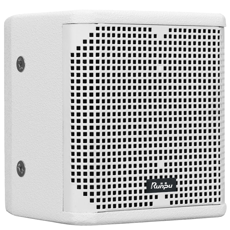 润普Runpu会议音频扩声系统专业双6.5英寸同轴会议音箱无源音响礼堂会议室扩声音响设备RP-SY-XY6.5