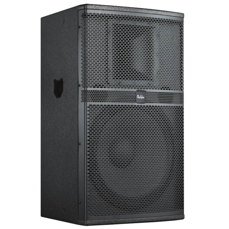 润普Runpu会议音频扩声系统专业双10英寸会议音箱无源音响礼堂会议室扩声音响设备RP-SY-XYC10