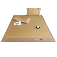 莱依瑾 LYEEGIN 凉席 120*200cm/张