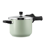 炊大皇304不锈钢家用高压锅大容量安全防爆炖肉锅燃气电磁炉通用 本味单柄压力锅(优雅绿) 22cm 6L