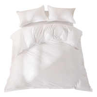 伊伊爱 云柔缎白色防螨三件套1.2米床