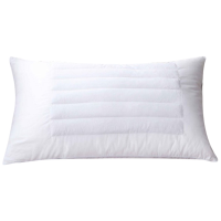 荞麦枕头枕芯双面两用枕 TP2984