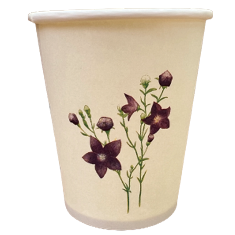 B100 250ml 加厚饮水纸杯 一次性纸杯 1 个/包 (计价单位:包) 白色