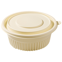 型壳 一次性餐盒 450ml 箱