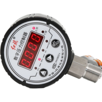 红旗 数字压力控制器定制检测款DPC-80S 1MPA 块