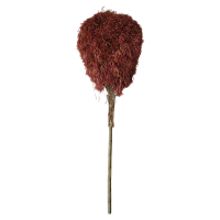 金桂昊 扫把 3斤 把