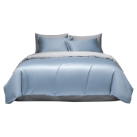 伊伊爱 炫灿100支纯色四件套