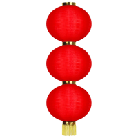 金桂昊 灯笼 8寸 个