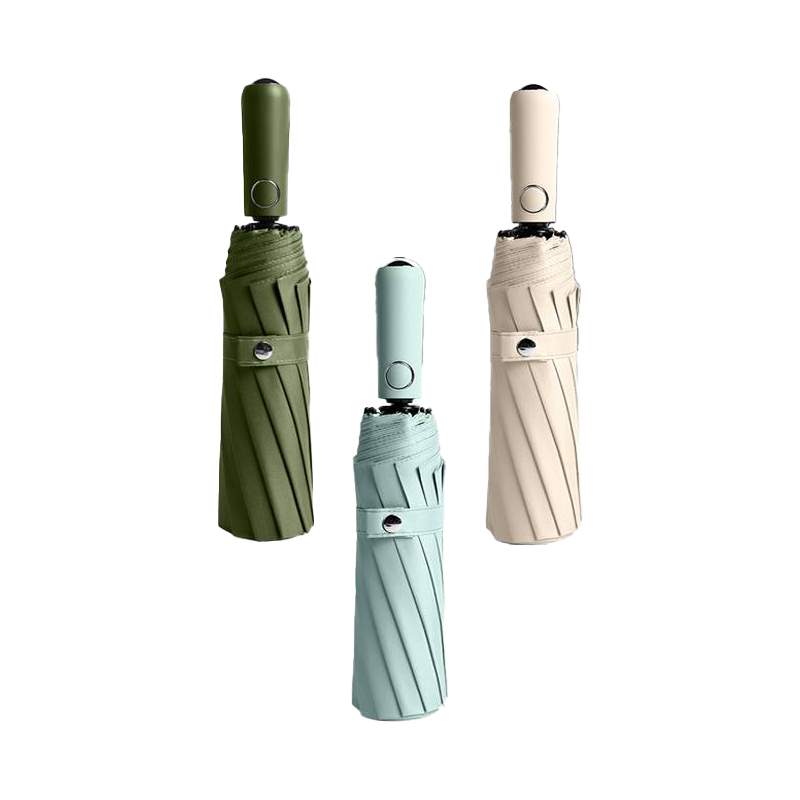 金桂昊 雨伞 12骨 把