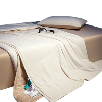 伊伊爱 裸睡级亲肤双面触感夏凉被