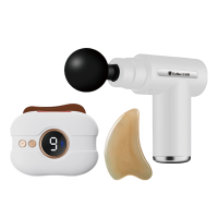 古菲斯理疗美容套装T9