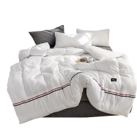 伊伊爱 日式纯色简约水洗棉TB被子