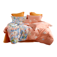 伊伊爱 生态磨毛费里莫系列印花四件套