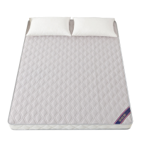 金睦源 JIN MU YON 床垫 100*200cm 张