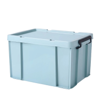 铁洋 储物收纳箱 32L(47.5cm*34cm*28cm) 个