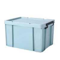 铁洋 储物收纳箱 20L(43cm*29.5cm*24cm) 个