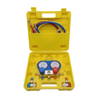 波斯(BOSI) 荧光系列高级环保冷煤表 R134A 套