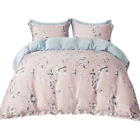 中盈惠彩 青柠纯天丝四件套 CTSSJT 200*230cm 1套