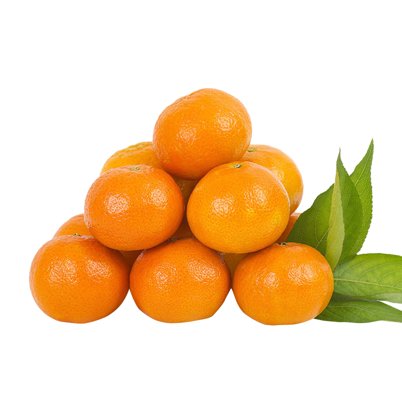 [熊猫鸟]新鲜沃柑 净重9斤 中果 4-5个/斤 新鲜时令水果当季整箱