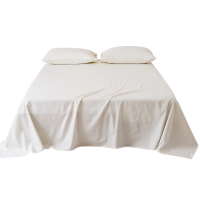 莱依瑾 LYEEGIN 床单 160*220cm 条