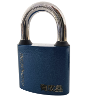 有成鑫 通开挂锁带1把钥匙 YCX-32 把