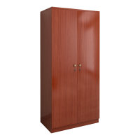大匠杉 衣柜两门更衣柜 900*550*2000mm
